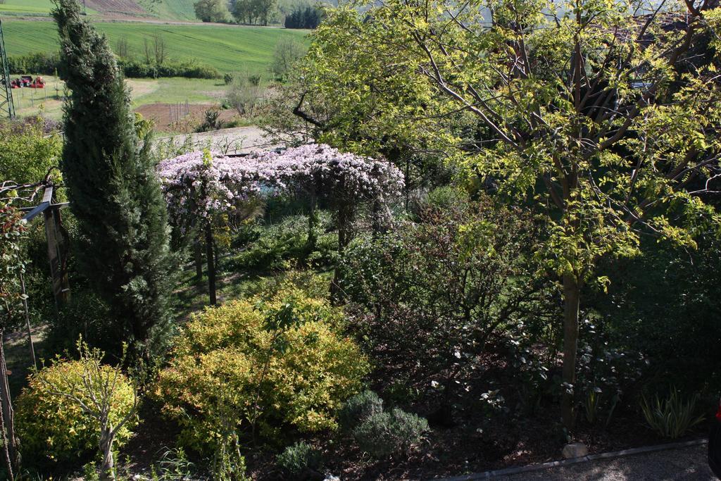 B&B La Casetta Villaromagnano Екстериор снимка
